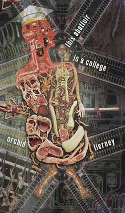 Tierney cover