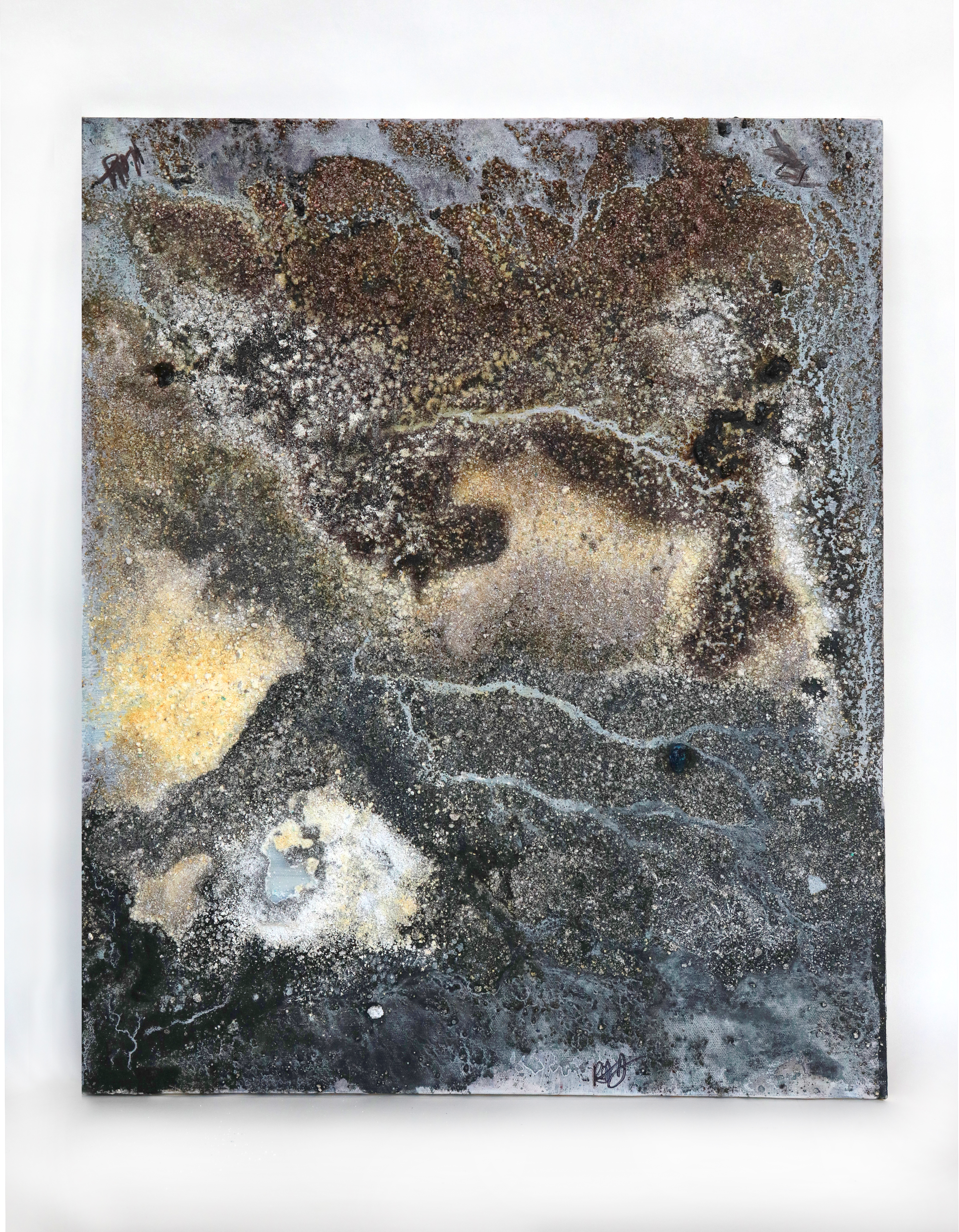 Hanus image