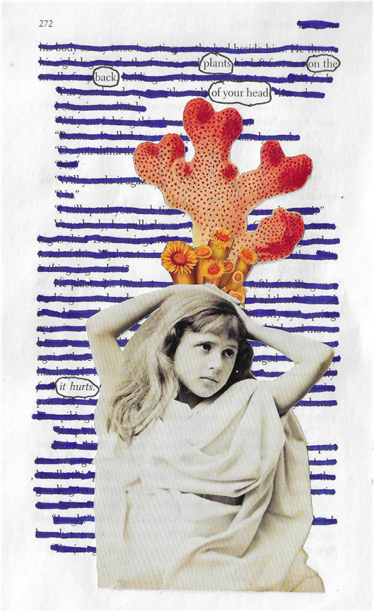 Johnson image