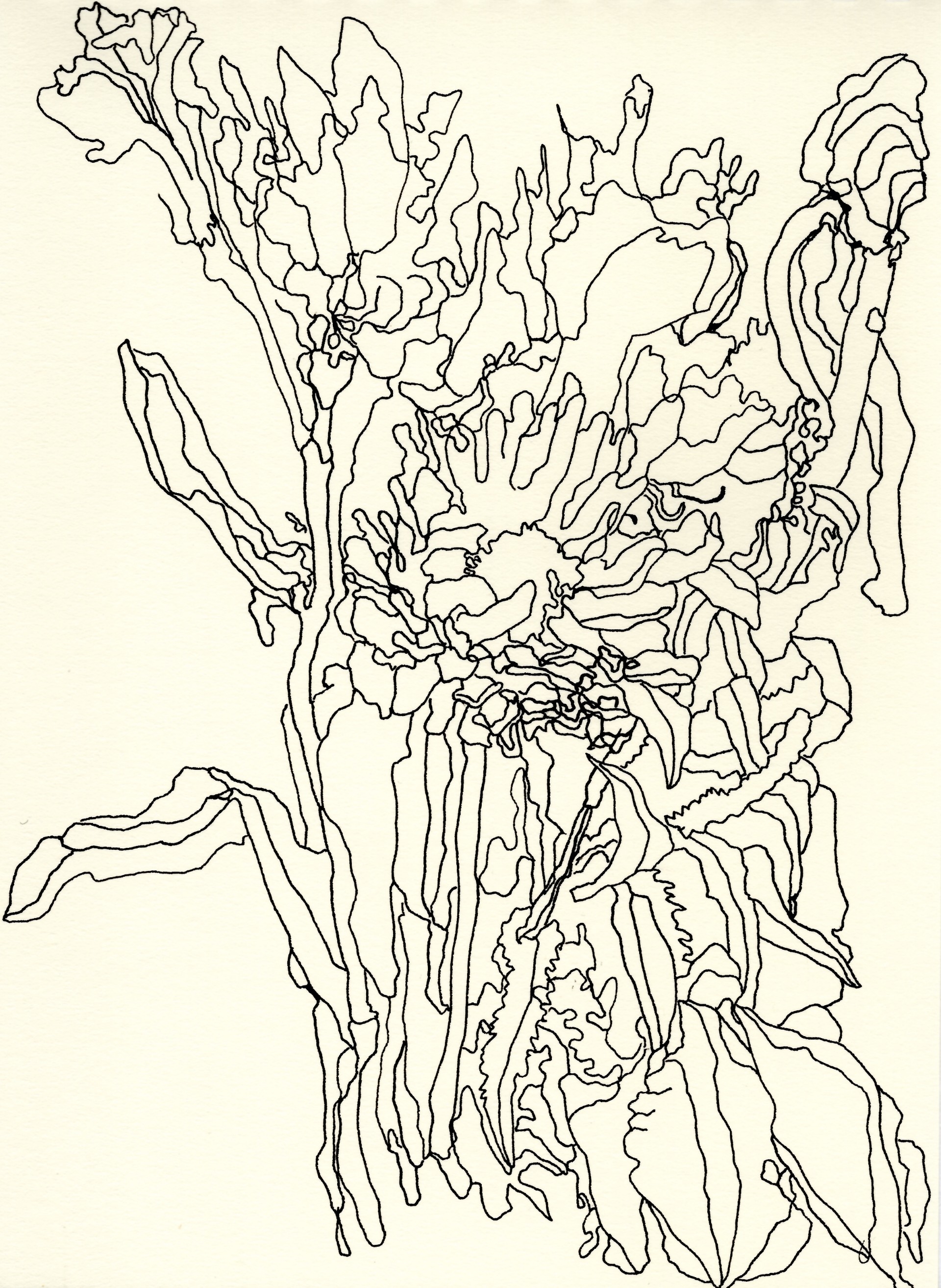 Ratcliffe image