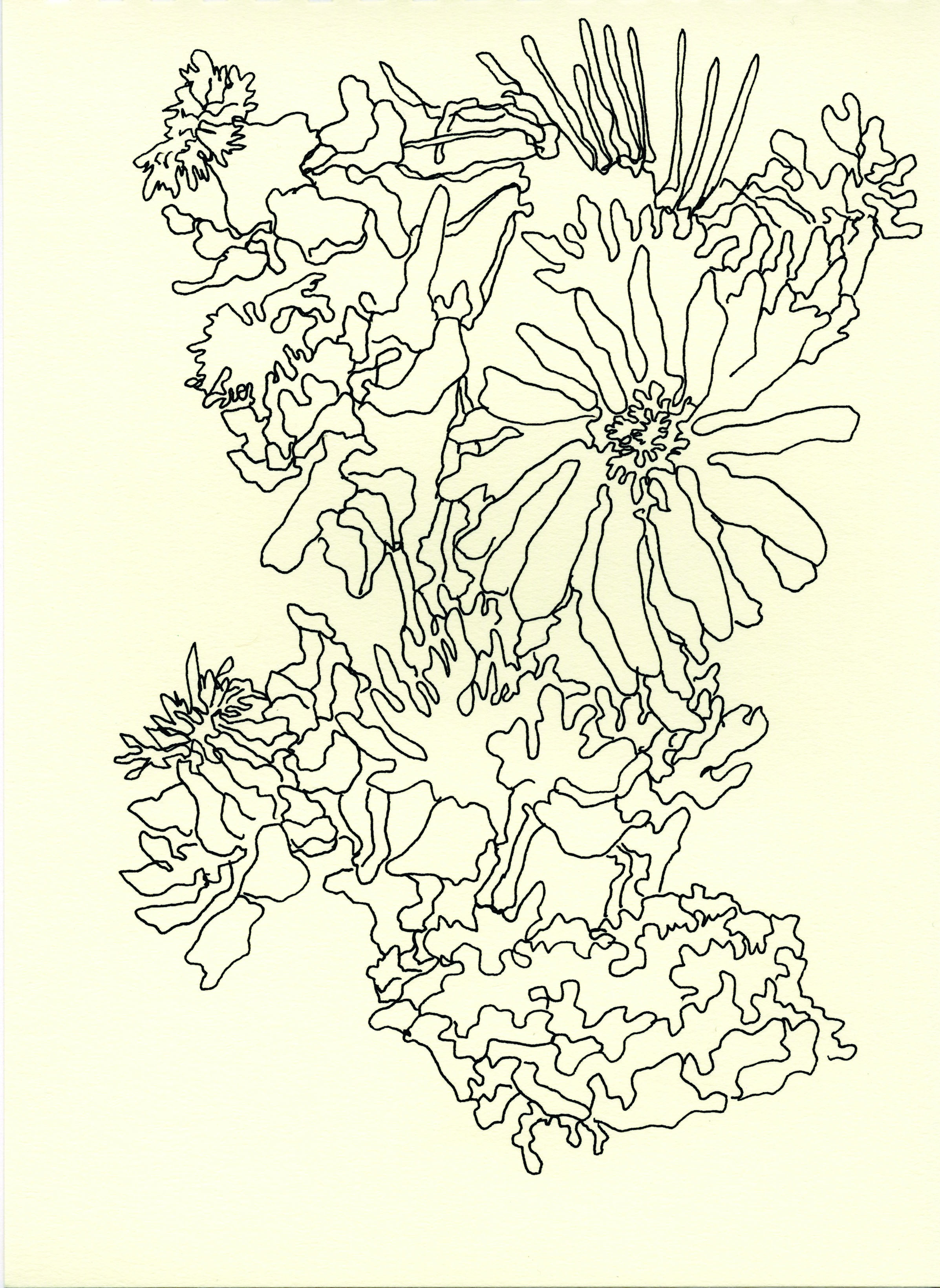 Ratcliffe image